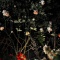 夜の庭／オジサン救済