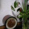 時計よ動け