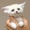 自慢のペット公開するwwwwwwwwwwwwwww