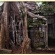 カンボジア07 タ・プロームのねっこ編 旅立ちから73日目6