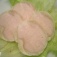 『塩鶏』 鶏むね肉がしっとり柔らかに
