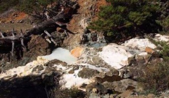 死の水”にすむ謎の微生物 生きる仕組みは全く不明! 酸素も栄養もなし