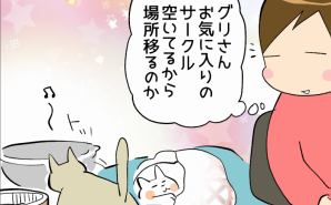 飼い猫がくつろいだ意外な"場所"