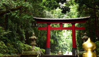 鳥居に詳しい人いる??