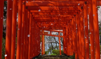 【良質画像スレ】風景写真に自信ニキちょっと来て