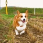 �ɤ��⤫������ɥå��饡�����