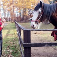 北海道を満喫した鈴木奈々を特集