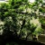 2012年05月21日の月曜日。AFF3 Mechanical Tokyo