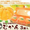 【グルメ】 皮なし冷凍ミカン「むかん」が人気