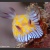 ボブサンウミウシ