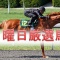 日曜日厳選馬！！【青梅特別2018　予想】【町田特別2018　予想】