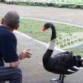 おねだり