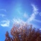 �ʥ��ȥ����ʥ��ȡ����ͥ��ॺ���åפϡ�11��4����