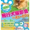 11月12・13日 「ポニーだワン」飛行犬撮影会