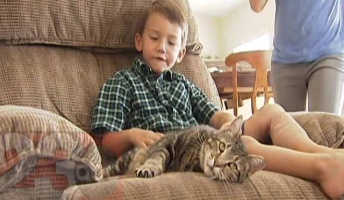 【動画】猫が猛犬に体当たり、飼い主の子ども救う