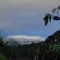 山に初雪!
