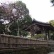 鎌倉の寿福寺、北条政子ゆかりの寺