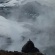 立山、雪の大谷と雷鳥を見てきた。