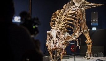 【朗報】ティラノサウルス、羽毛ではなくやっぱりウロコに覆われていた 最新研究