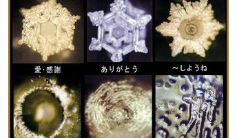 水に感情があるっていう話知ってる奴いる?