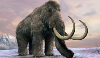 マンモスってぐうかっこいいよね(画像あり)