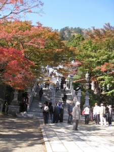 2011阿夫利神社(3)