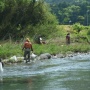★興津川 2014川掃除の日程★