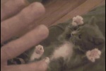 ぐるぐるぐるばあーっておっさんにやってみたｗｗｗｗｗｗ