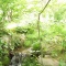 花公園