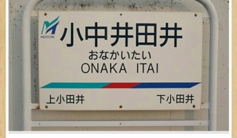 俺の貼るボケてで笑ったら寝ろwwwwwwwwwwwwwwww