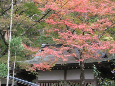 箱根長安寺(2)