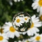 結婚5周年です。