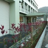 植栽