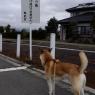 この先