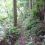 ★興津川　渓流釣果（5月９日）　鮎解禁前最後の釣行？★
