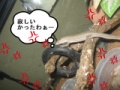 BlogPaint