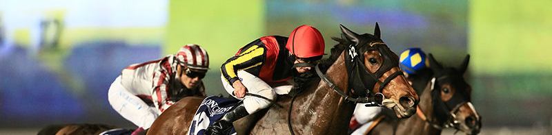 競馬予想ブログ【KOHEIの★穴馬絞り】 イメージ画像