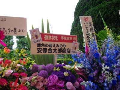 IMGP4217