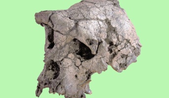 【古代宇宙飛行士説】人間創造進化は超古代に飛来した宇宙人によるもの
