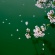 【画像有】桜はなぜ1週間しか仕事をしないのか…福岡で開花