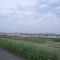 久しぶりのスロージョギング