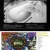 THE WALL DVD 予約開始