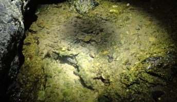 お前らに夜の川の楽しさを伝えたい(画像あり)
