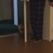 新年 おちび。