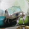 乾燥赤虫がお好き