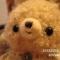 にゃんこ？