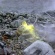 大自然と地獄を堪能できる立山黒部アルペンルート