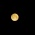 T-MAXには夜景が似合う(*´∇｀*)