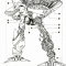 デンドロはどの時代まで通用するのか？