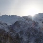 富良野 life